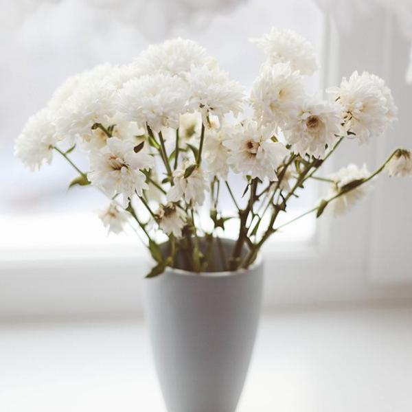 Weiße Blumen in weißer Vase